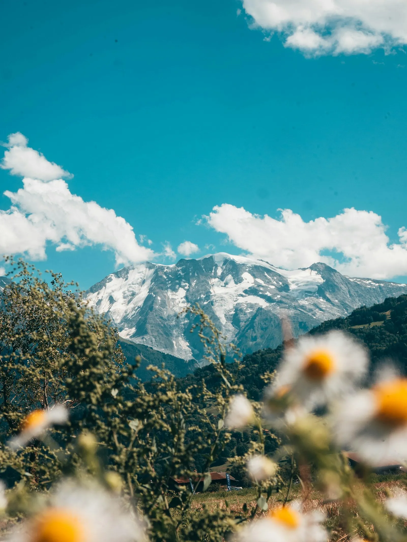 Val Ferret and the Mont Blanc massif in summer